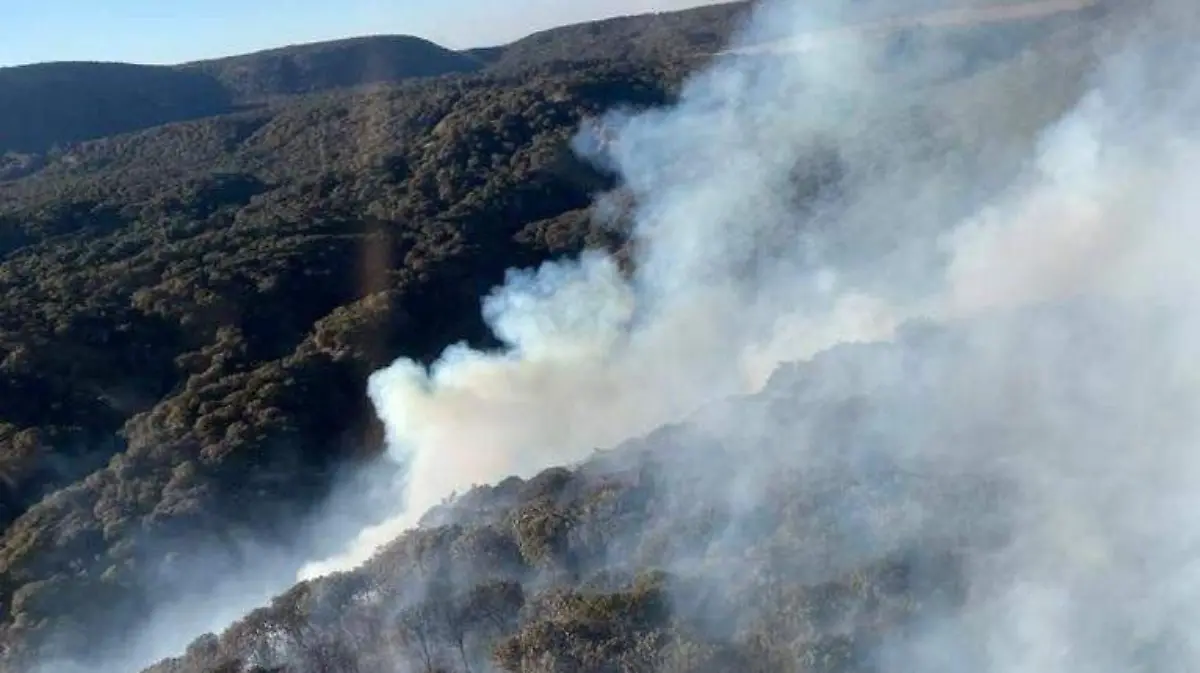 Brigadistas combaten incendio en el Bosque de la Primavera